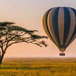 Atardecer en Serengeti, Destino Mogambo