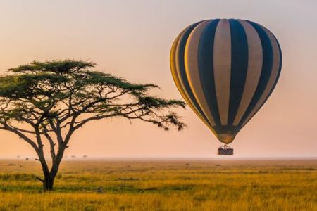 Atardecer en Serengeti, Destino Mogambo