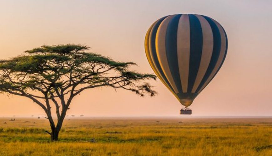 Atardecer en Serengeti, Destino Mogambo