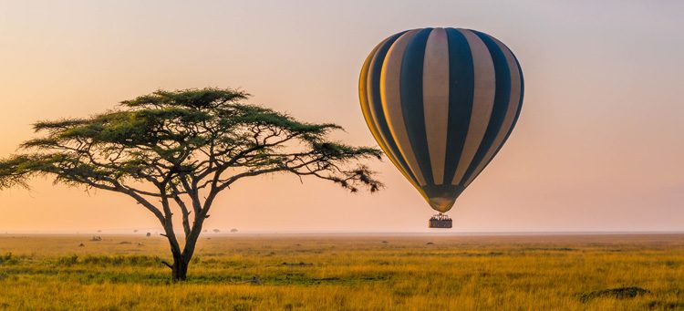 Atardecer en Serengeti, Destino Mogambo