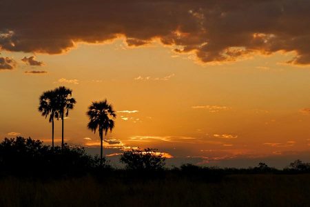 Ruta de los 3 ríos