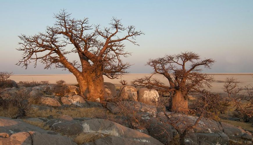 Namibia, Botswana, Chobe y Cataratas Victoria. Andra y Oier
