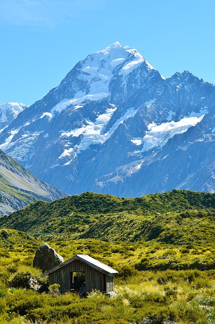 Nueva Zelanda y Fiyi