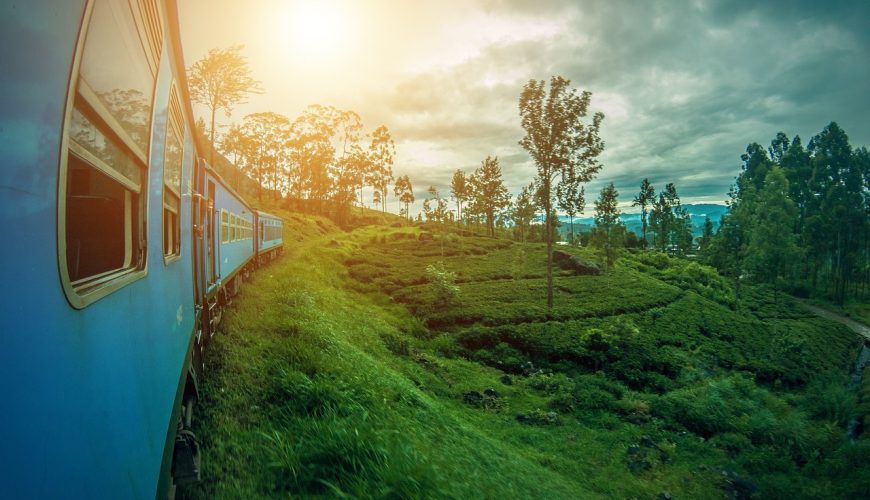 Sri Lanka y Maldivas