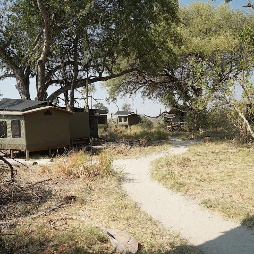 Oddballs’ Camp, campamento de safari en el Delta del Okavango, Botsuana
