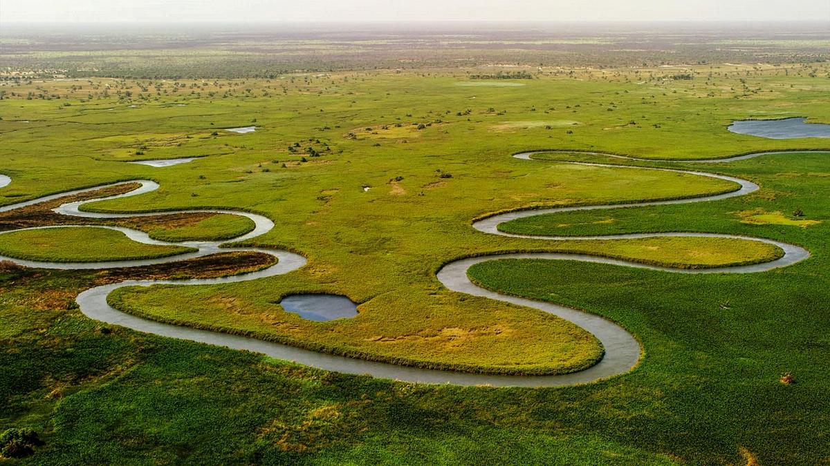 Paseo en mokoro por los canales del Delta del Okavango, Botsuana