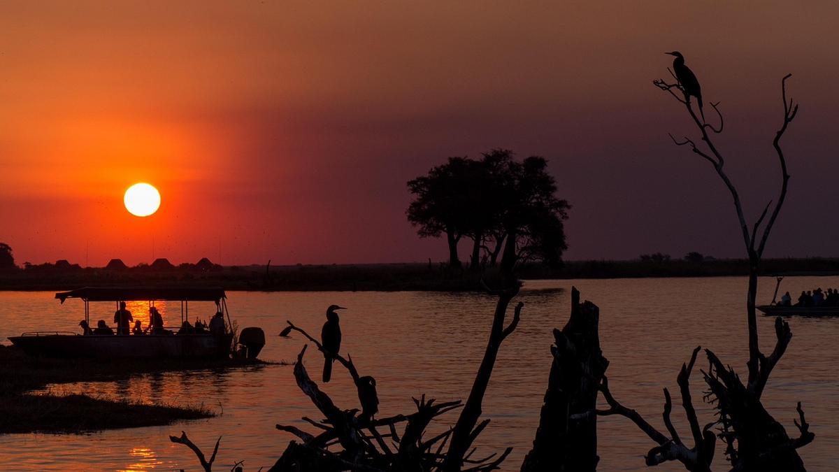 Safari en barco por el río Chobe, en Botsuana