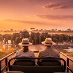 Safaris en África Botsuana el mayor santuario de elefantes: pareja observando elefantes en el río Chobe